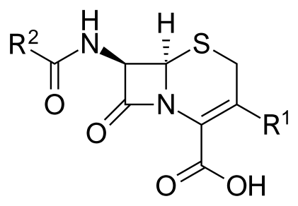 Estructura molecular del nucli d'una cefalosporina